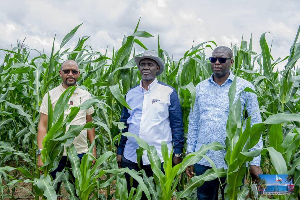 La province du Haut-Katanga, un exemple de modèle de l’Agriculture en République Démocratique du Congo