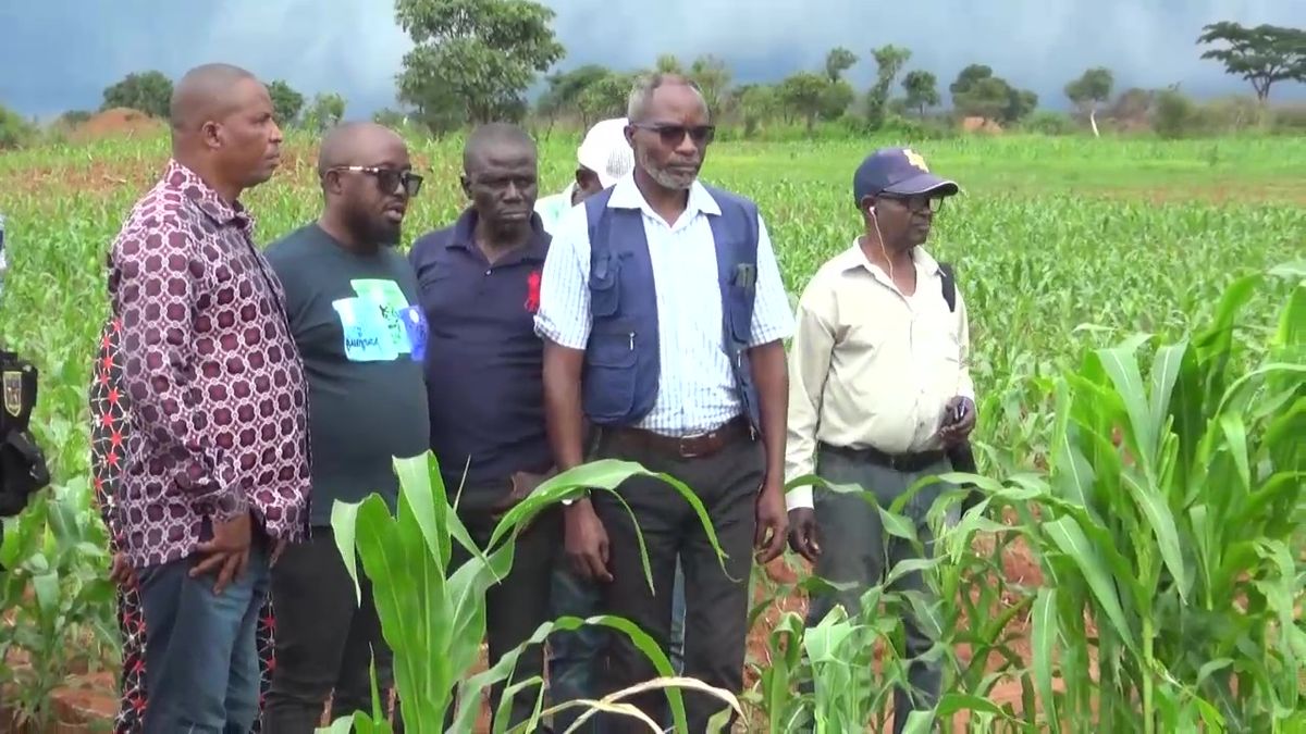 Haut-Katanga: Le Ministre en charge de l’Agriculture en visite d’itinérance dans les villages agricoles