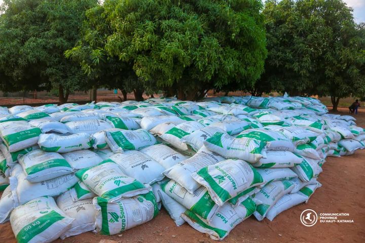 Haut-Katanga : La campagne agricole atteint sa vitesse de croisière, semences et intrants déjà disponibles